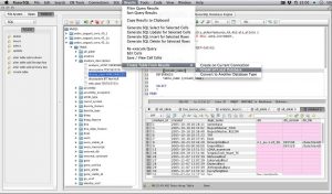 RazorSQL_11