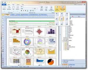 Stimulsoft-Reports-Ultimate_2