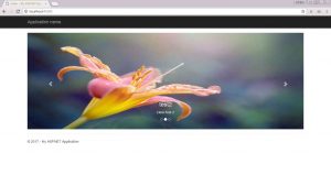slider-asp-mvc
